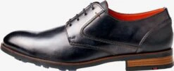 Lloyd Nette Schoenen Veterschoen Heren Blauw