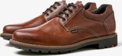 Lloyd Nette Schoenen Veterschoen VANJA Heren Bruin